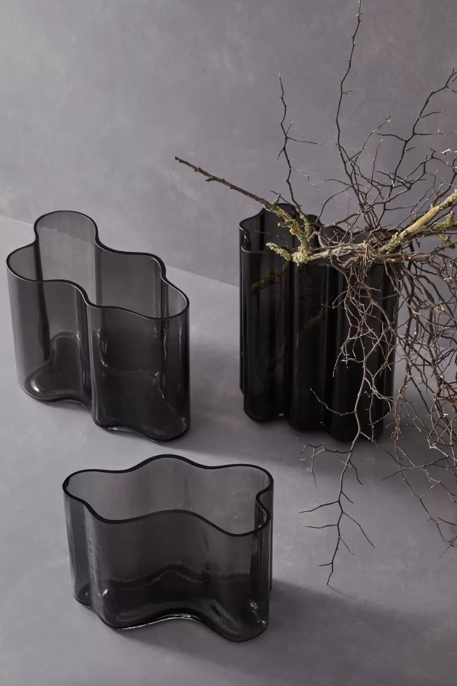 Marais Vases