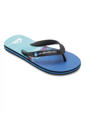 Quiksilver Boys Molokai Art II Flip Flops