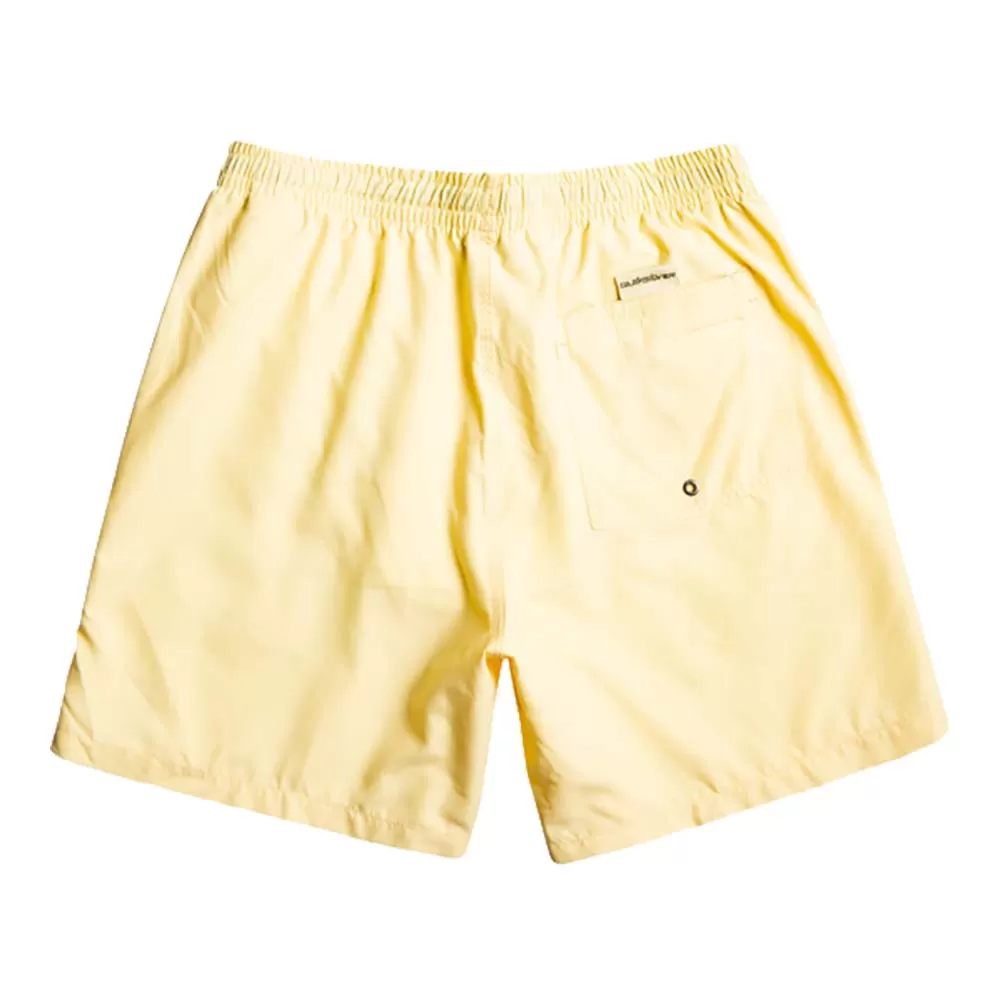 Quiksilver Everyday 17 Volley Swim Shorts