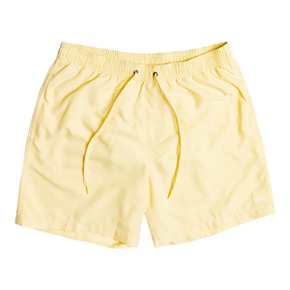 Quiksilver Everyday 17 Volley Swim Shorts