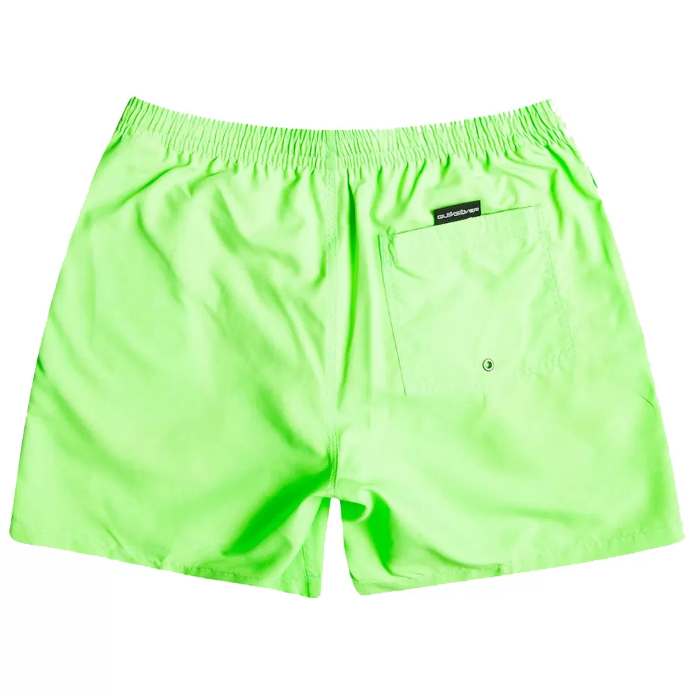 Quiksilver Everyday 17 Volley Swim Shorts