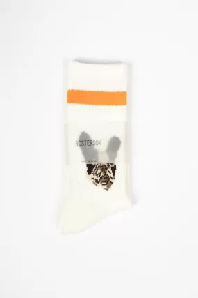 RS-278 Dog Socks Orange