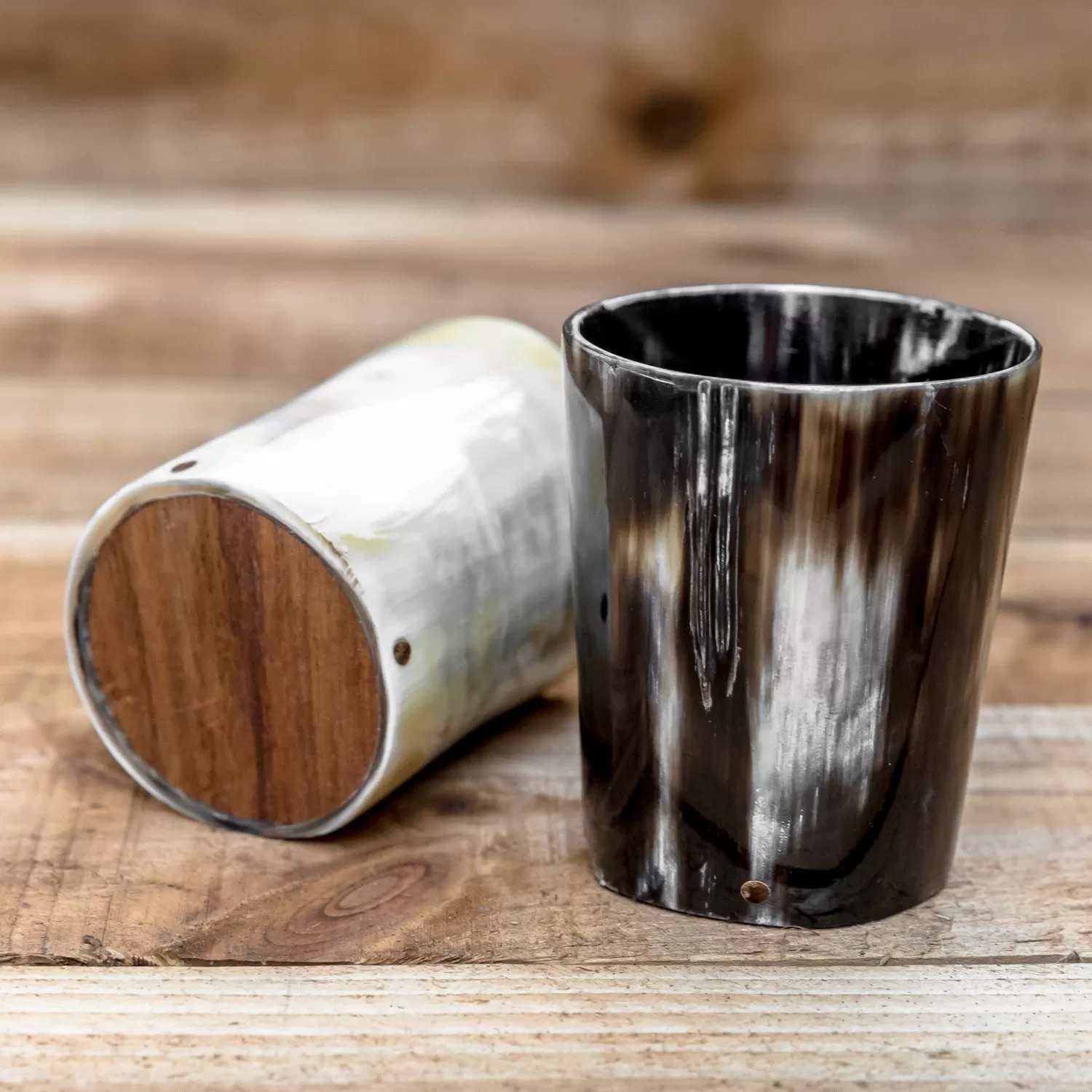 Small Horn Cup (hidden wooden bottom)